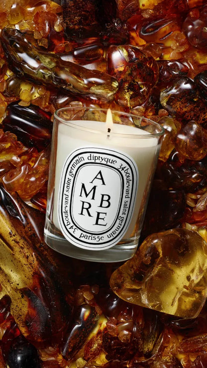 Ambre (Amber) - Small Candle