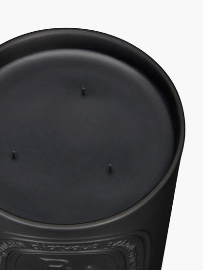Baies (Berries) - Large Candle