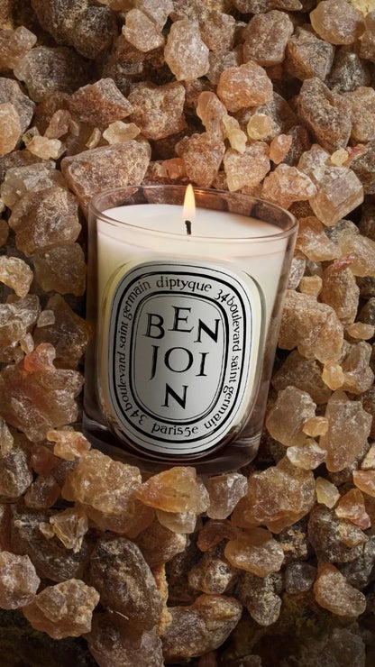 Benjoin (Benzoin) - Classic Candle