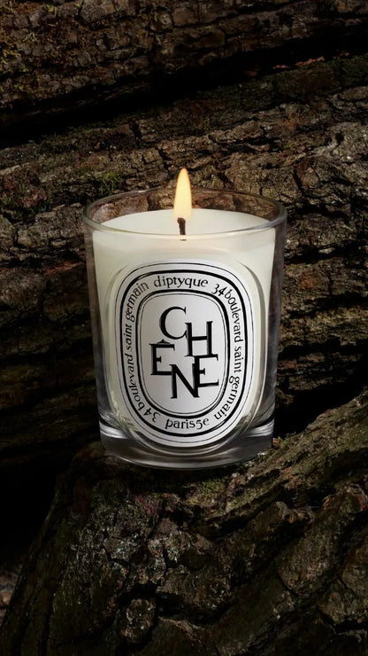Chêne (Oak Tree) - Classic Candle