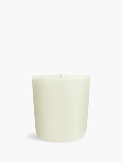 Figuier (Fig Tree) - Refill for classic candles