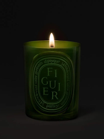 Figuier (Fig Tree) - Medium Candle