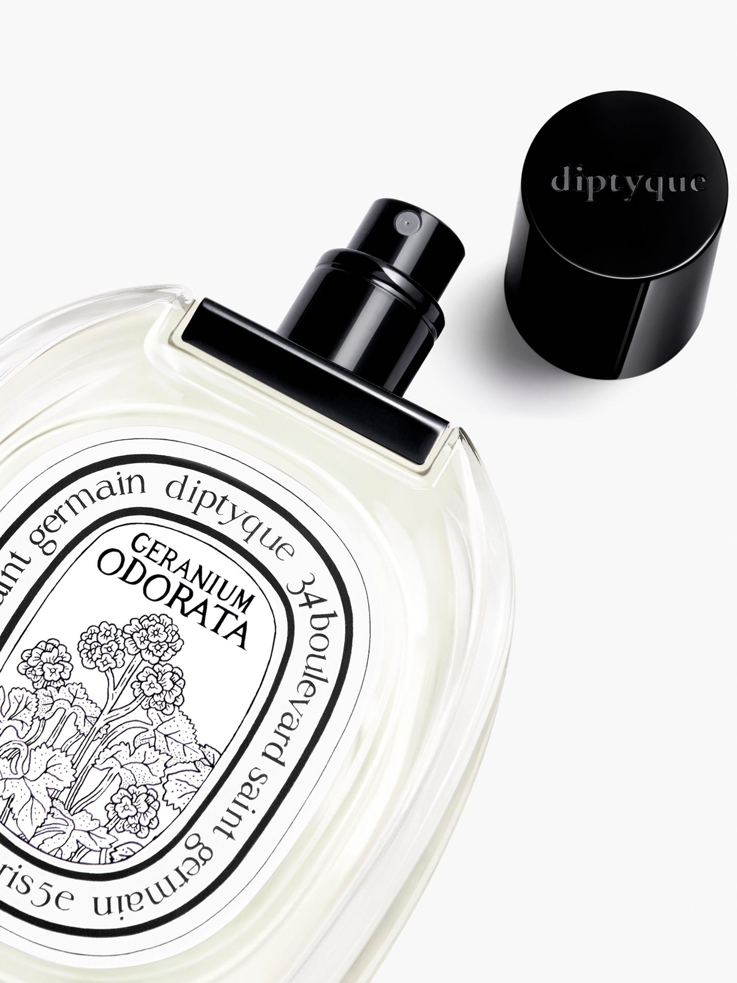 Geranium Odorata - Eau de toilette