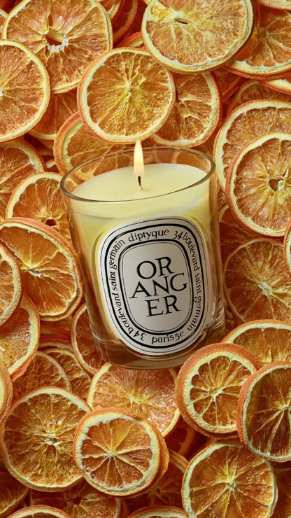 Oranger (Orange Tree) - Classic Candle