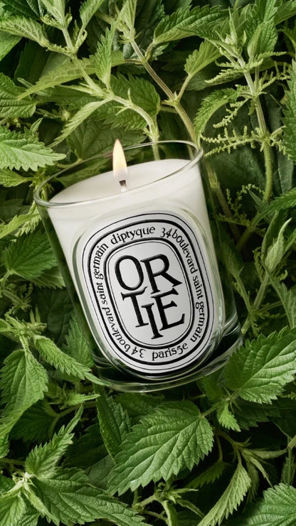 Ortie (Nettle) - Classic Candle