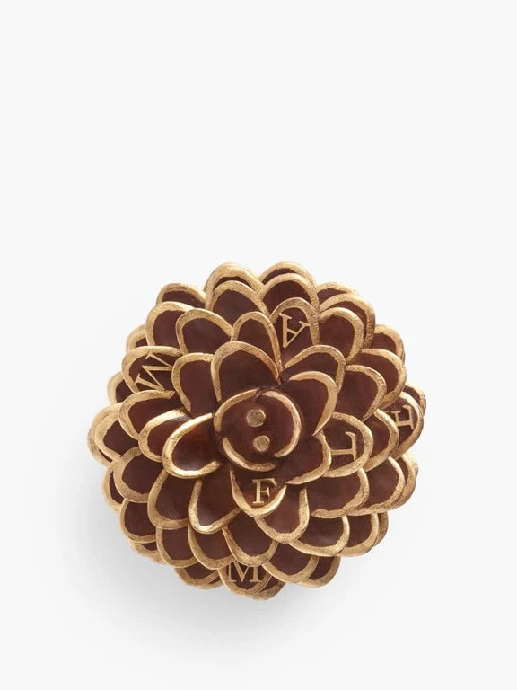 Paperweight - Pine cone
